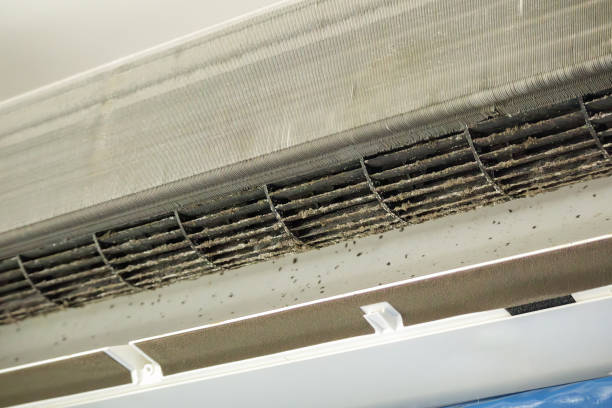 Best Emergency Air Duct Cleaning  in Lorane, PA